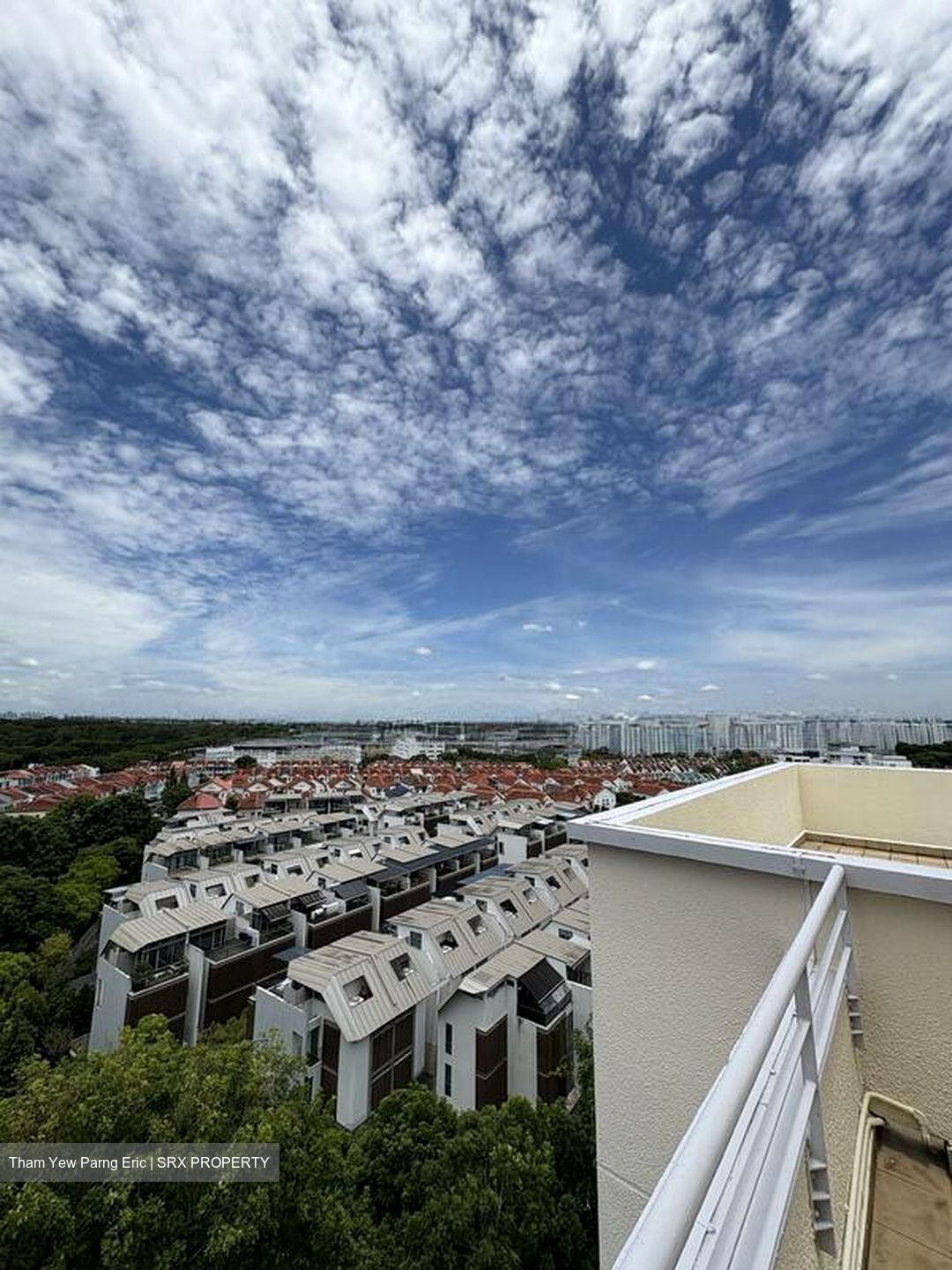 The Floravale (D22), Condominium #497405451